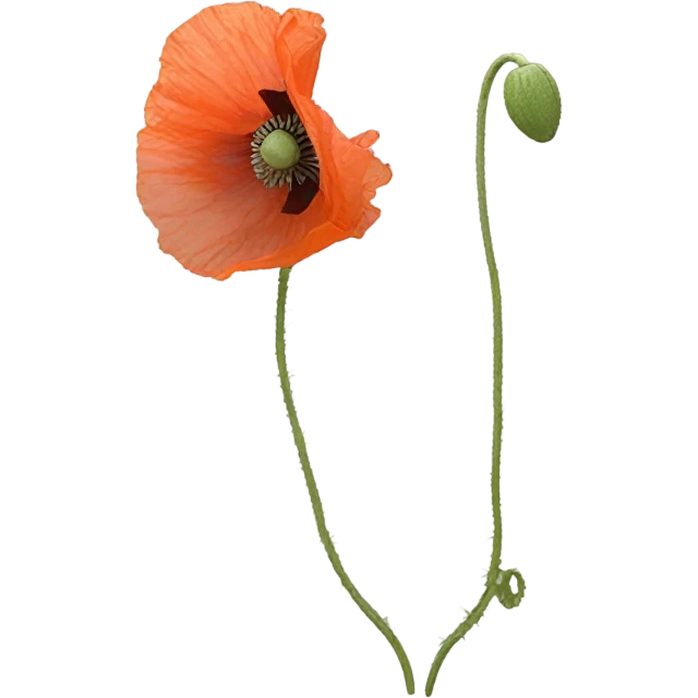 Sick Poppy flower emoji