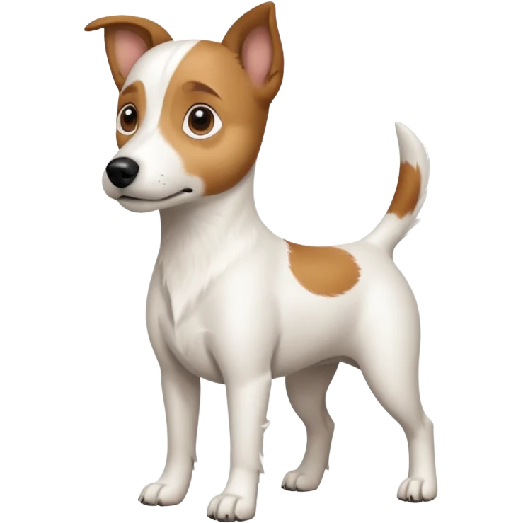a full body white jack russel looking dog the size of a kelpie with light brown ears and a light brown patch on one eye and a large snout emoji