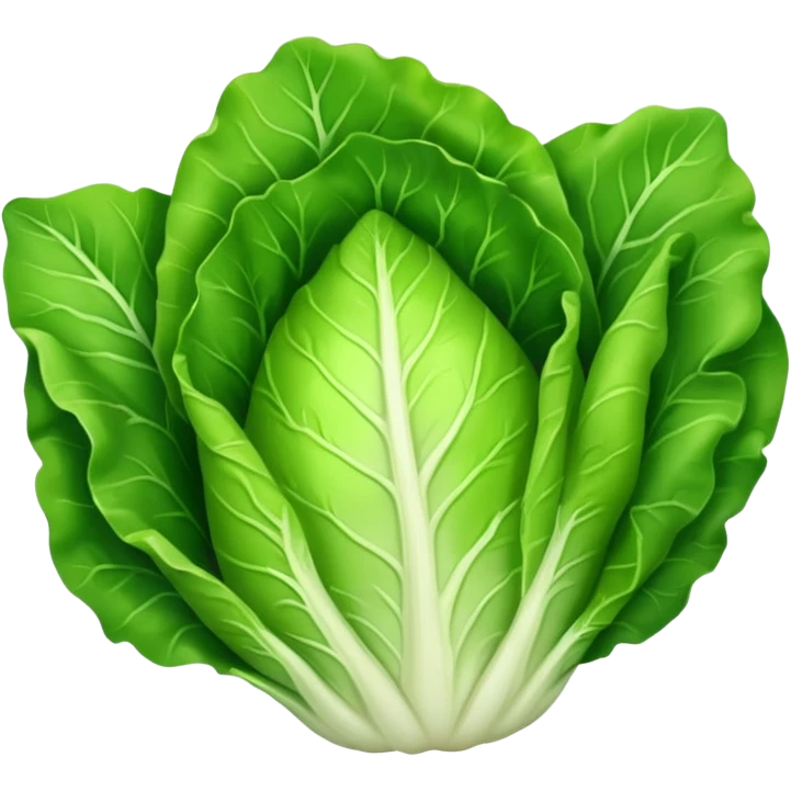 lettuce single  leaf  emoji