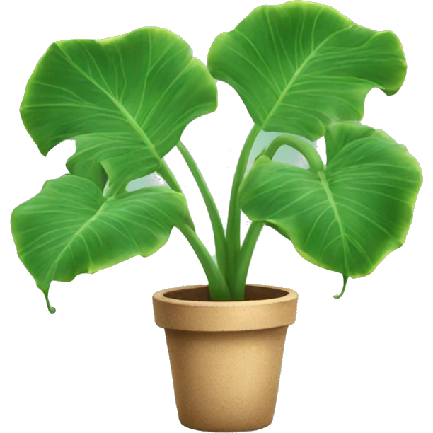 elephant ear plant in the bahamas emoji