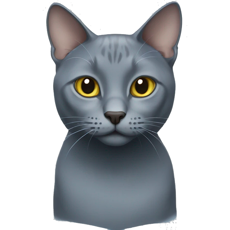 Russian blue cat emoji