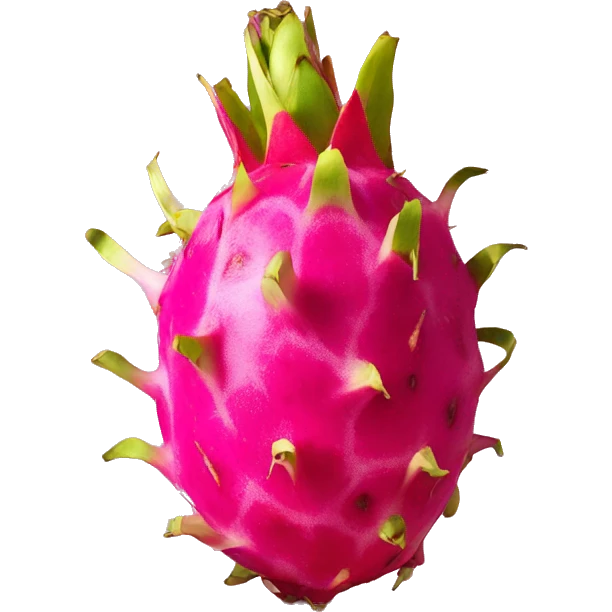 Dragon fruit emoji