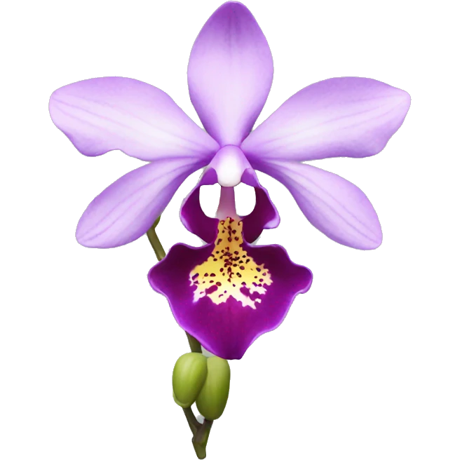 Orchid  emoji