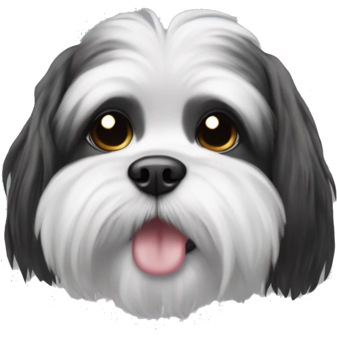 Black white Shitzu with a ice cube emoji
