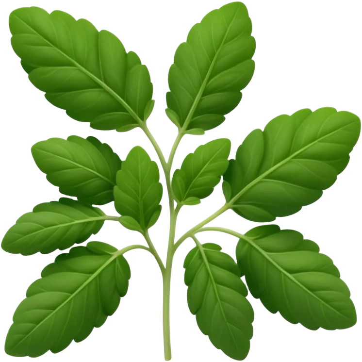 small sprig of fresh oregano with oval slightly fuzzy green leaves on thin tender stems, leaves clustered and layered with subtle natural curves and soft midrib veins, color ranges from vibrant to muted green, no pot scissors or extras, apple emoji style, soft lighting, subtle shadows, emoji scale emoji