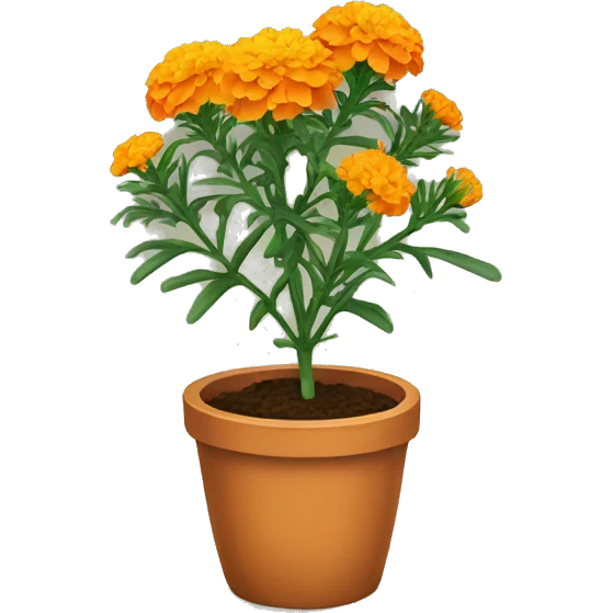 Marigold plant  emoji