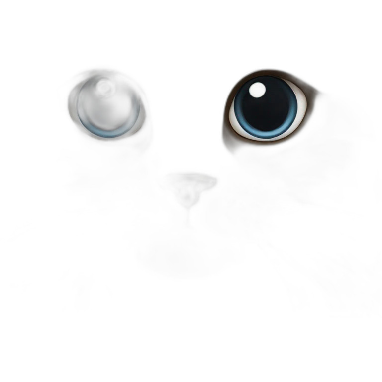 himalayan ragdoll cat with brown eyes emoji
