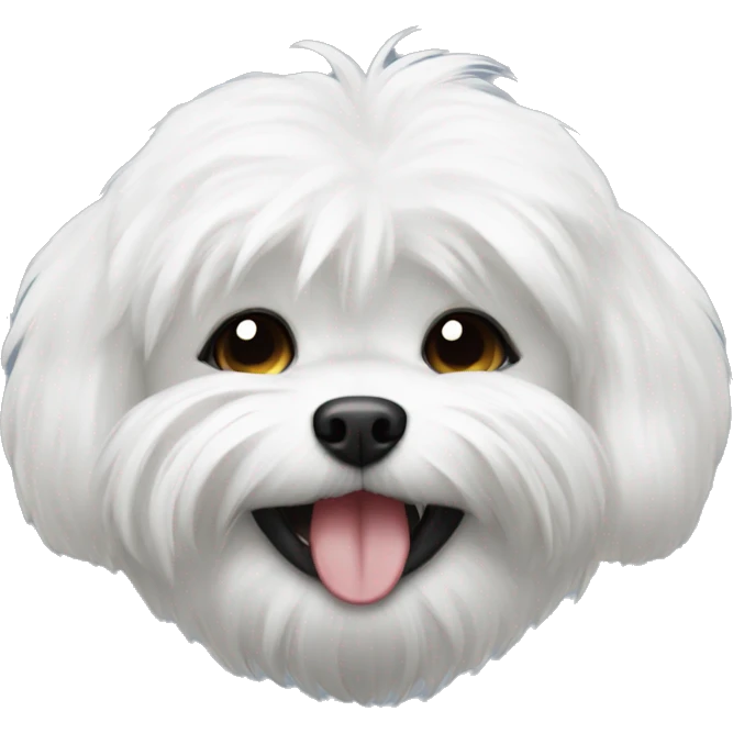 black shitzu dog with chest white fur laughing  emoji