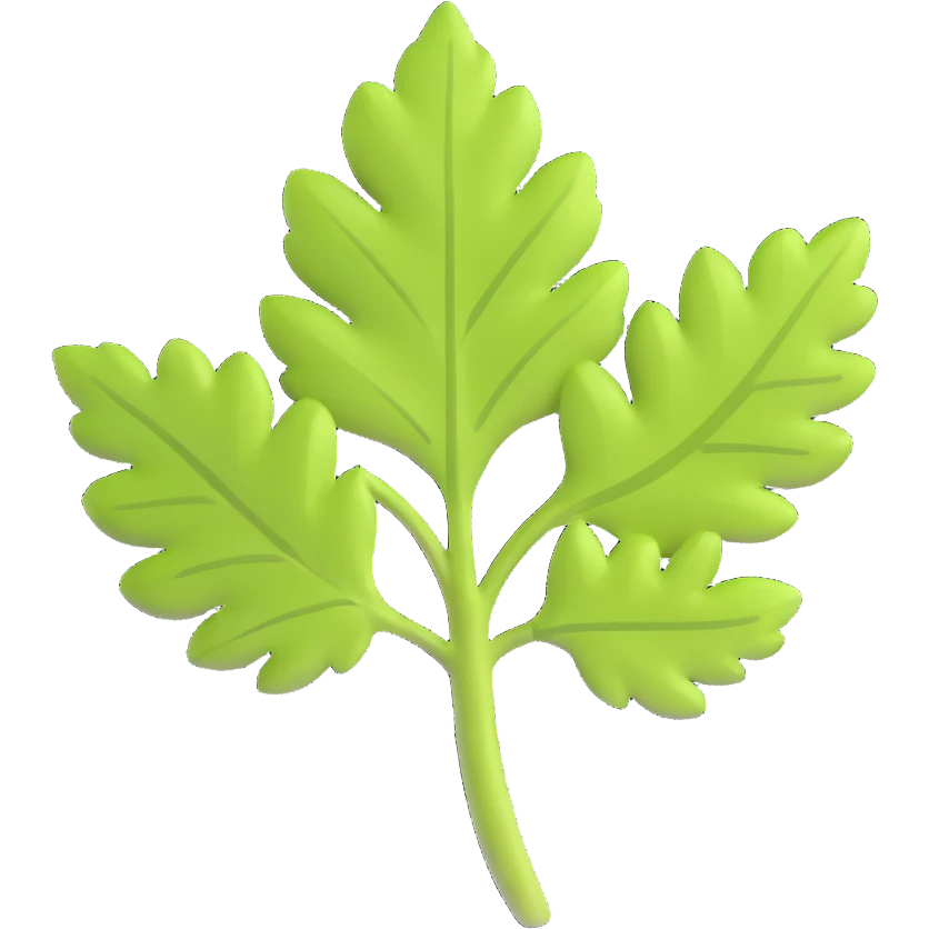 cilantro leaf, clean, minimal, cute, well-lit, soft shadow, white background emoji