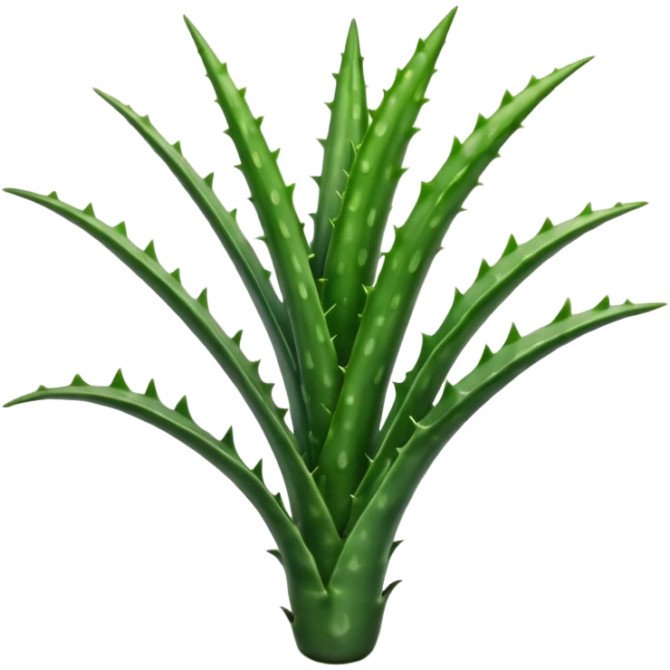 single fleshy aloe vera branch deep green with lighter spots or stripes gently toothed edges long tapered slightly curved smooth waxy surface no pot no background no cut section soft lighting subtle shadows emoji scale emoji