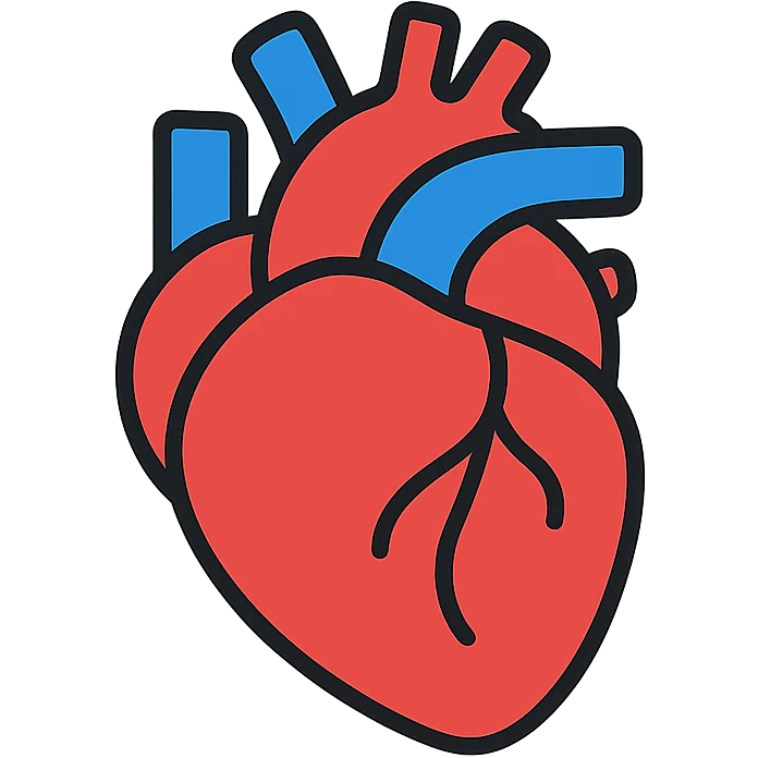 anatomically correct human heart emoji