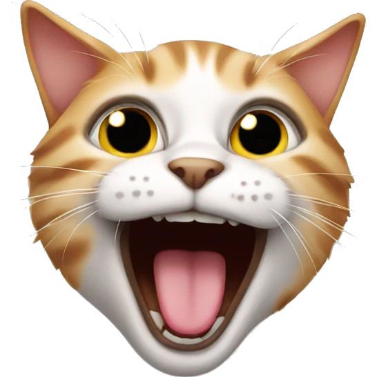Crazy kitten emoji