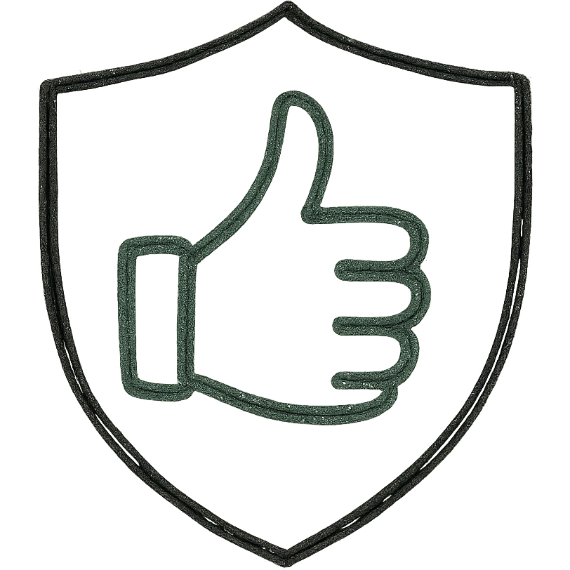 minimalist green thumbs up emoji inside shield, light blue background, conveying message all is well and safe emoji