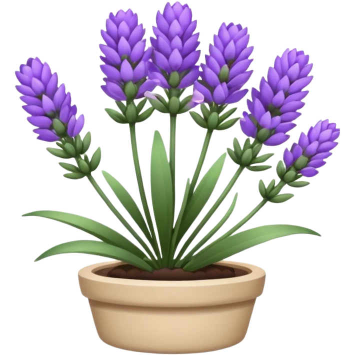 lavender emoji