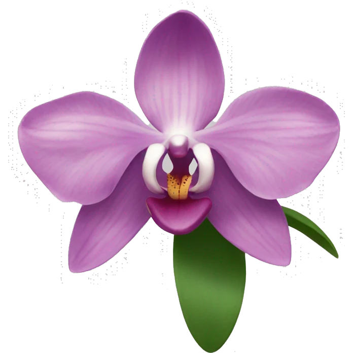 Orchids  emoji