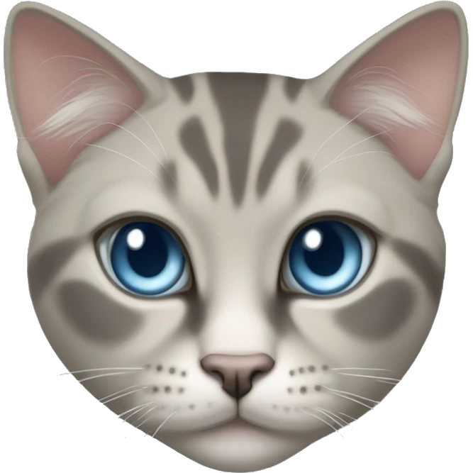 Thai breed cat with a warm cream body, dark gray face, ears, and paws. Short fur, sharp ears, and striking light blue eyes with an intense gaze. emoji