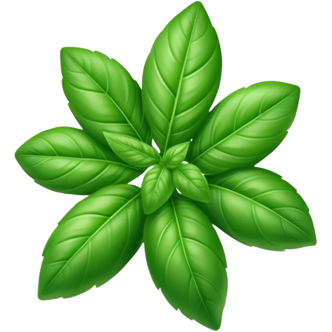 Fresh green basil herb leaf emoji