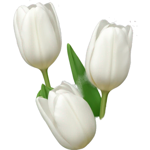 white tulips emoji