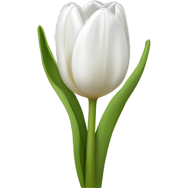 White tulip bouquet  emoji
