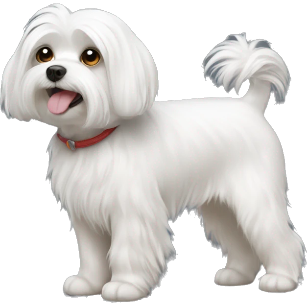Maltese dog  emoji