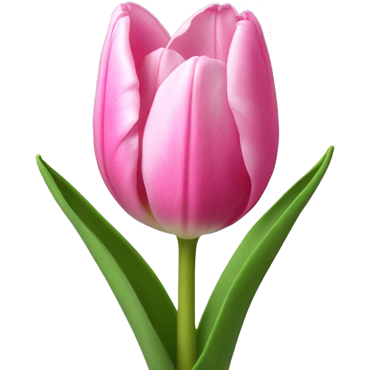 pink tulip emoji