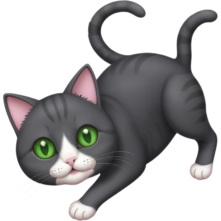 solid dark grey cat with green eyes, white toes/paws playfully rolling upside down emoji