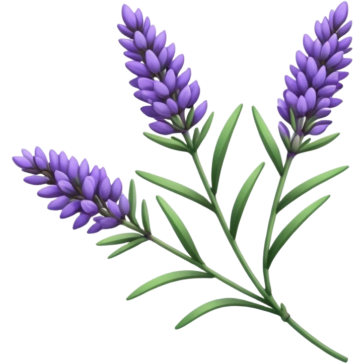 a sprig of lavender emoji