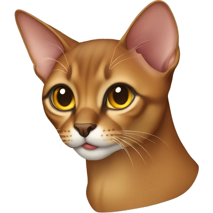 abyssinian cat emoji
