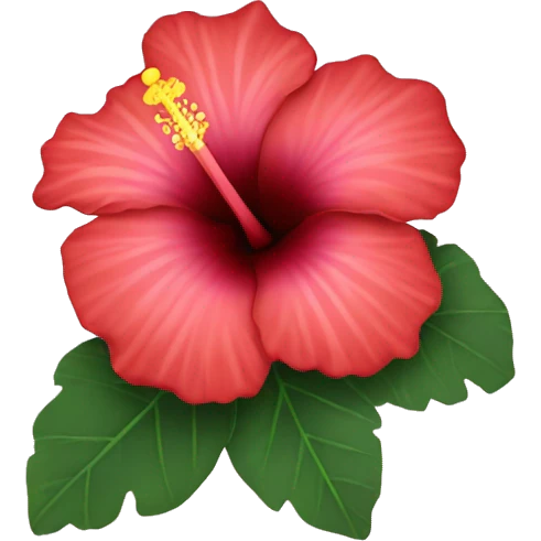 Hibiscus flower  emoji