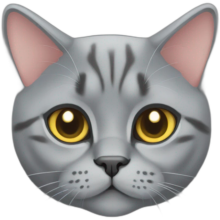 britishshorthaircat emoji