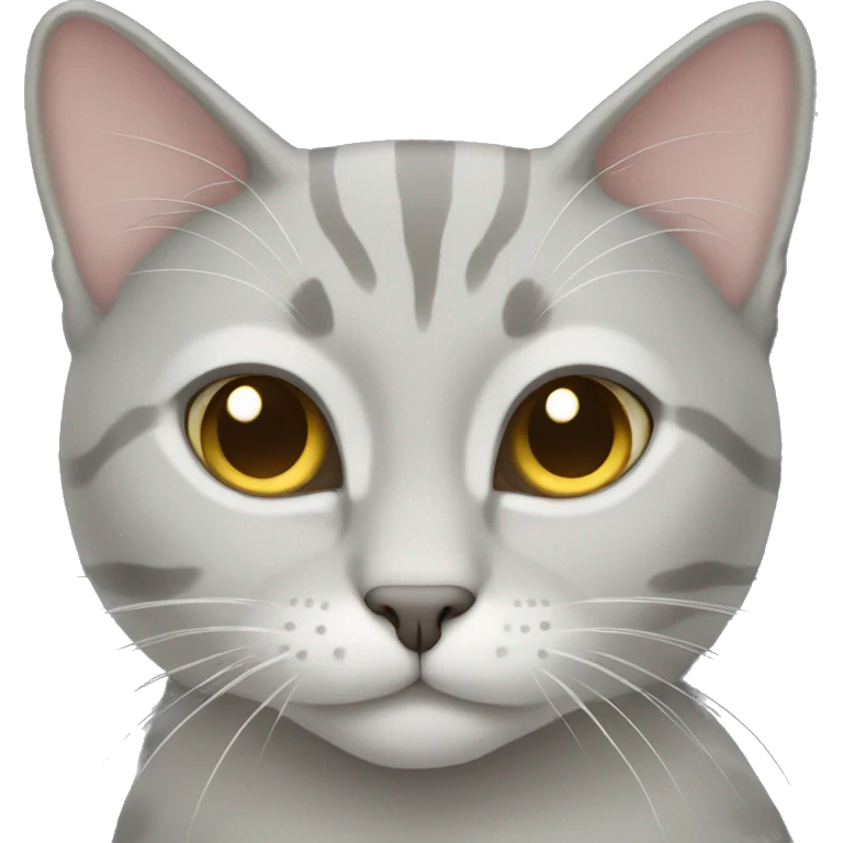 Light grey cat emoji