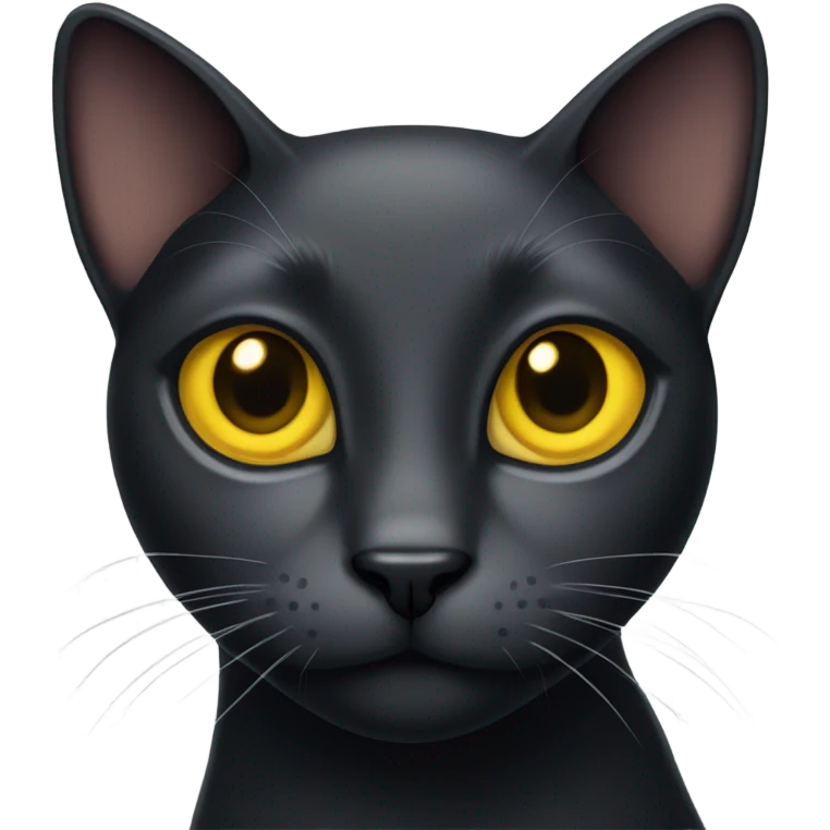 black cat emoji
