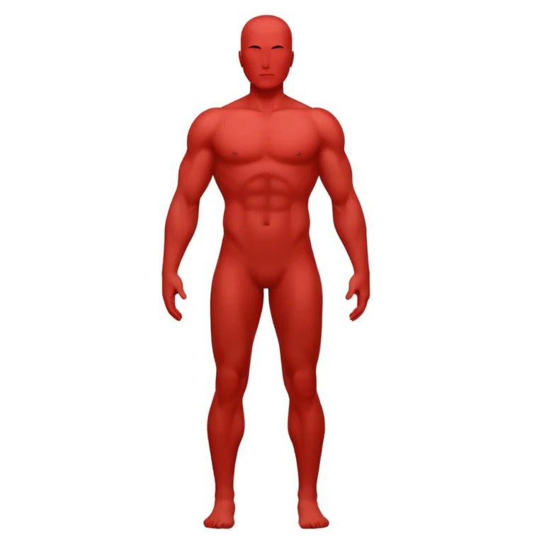minimalistic flat Apple iOS icon, front view of a human body silhouette, no face details, standing straight, chest, biceps, and quadriceps outlined in red, white background, no extra elements emoji