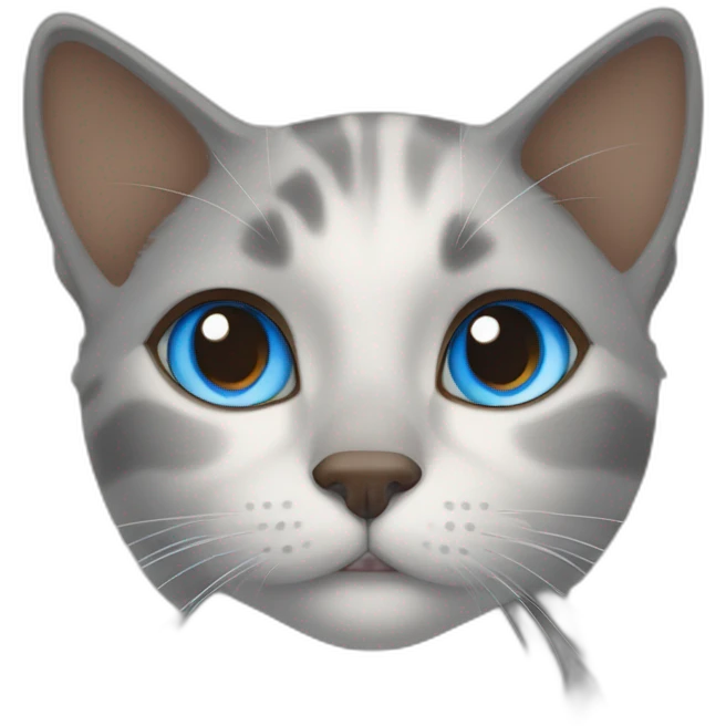 light gray, blue eyed cat cuddles brown highlighted colored girl emoji