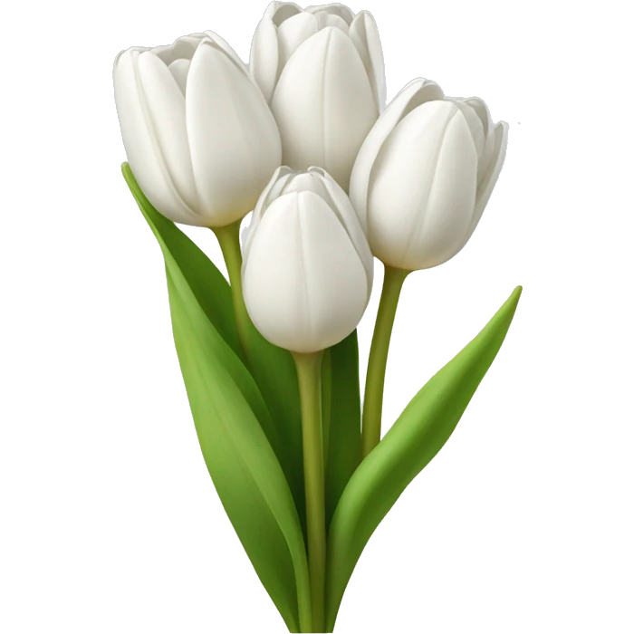 white tulip bouquet  emoji