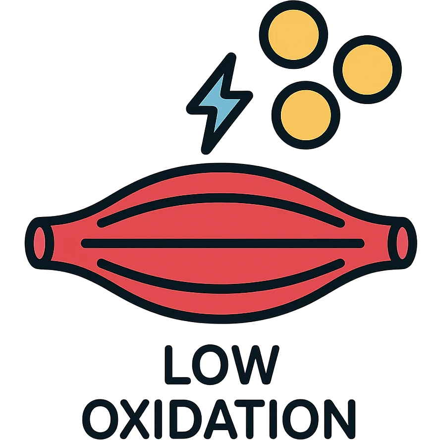 muscles with very low oxidative capacity, fat molecules around struggling to enter, medical infographic style, neutral colors, anatomical details, explanatory icons, short text like 'low oxidation', white background emoji