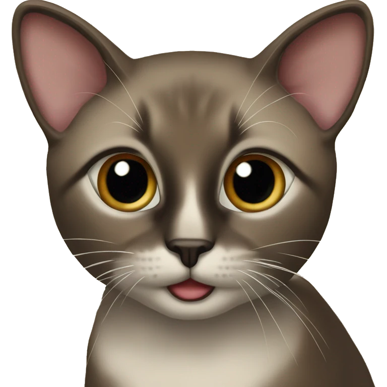 Siamois marron foncé emoji