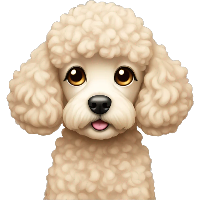 cream mini poodle sad emoji