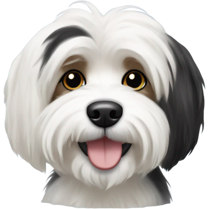 White and black havanese dog emoji