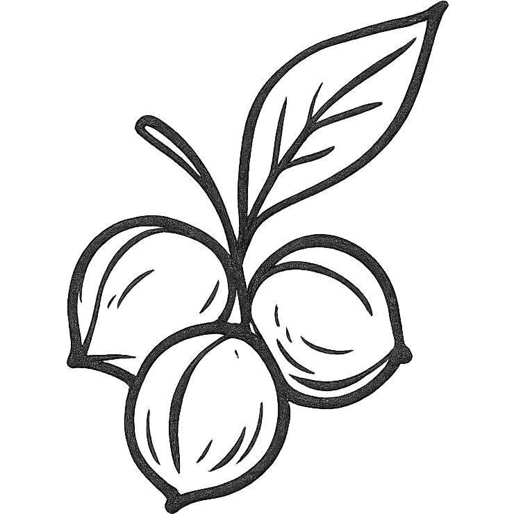 Guaraná berries, artistic and minimalistic emoji
