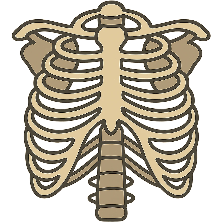 flat toon style skeleton ribs emoji