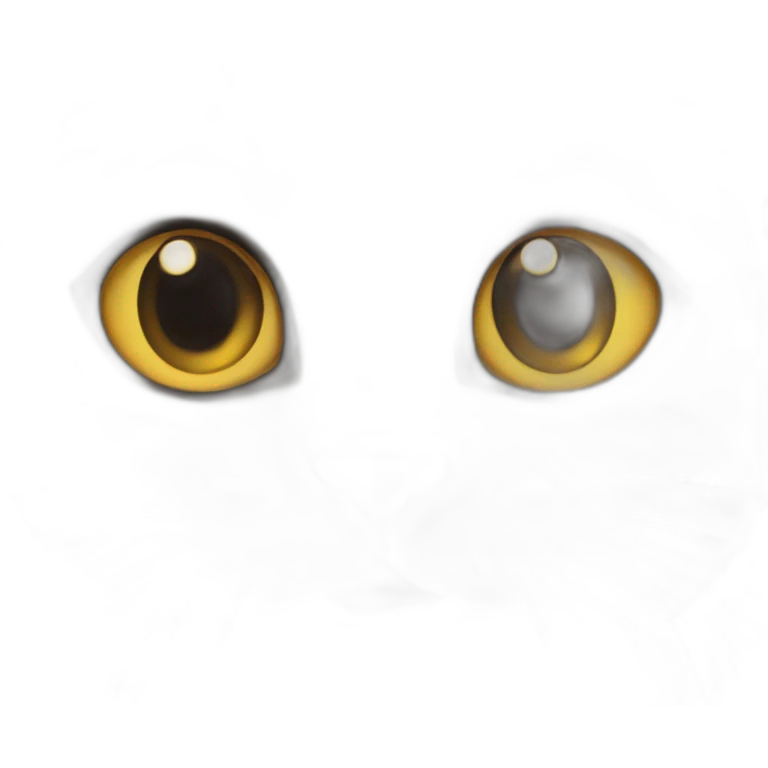 interogative cat emoji