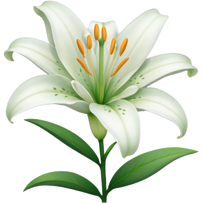 White lilyum flower emoji
