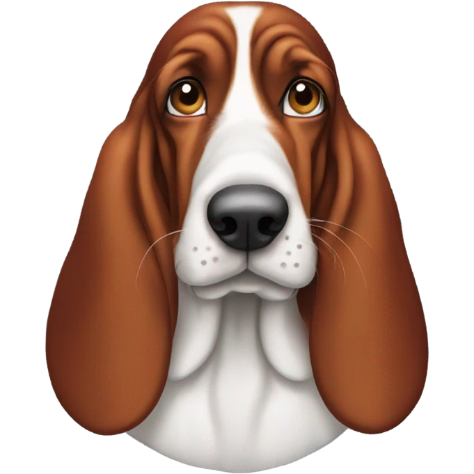Red and white basset hound side eye emoji