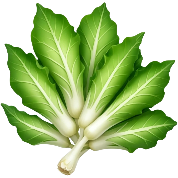 Endive Riccia emoji