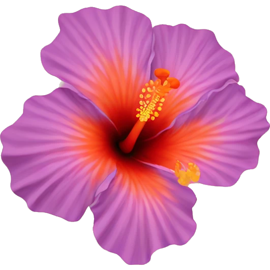 Orange hibiscus flower  emoji