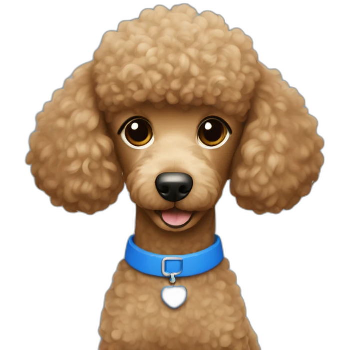 Light brown poodle wearing a blue t-shirt with the text U2 emoji