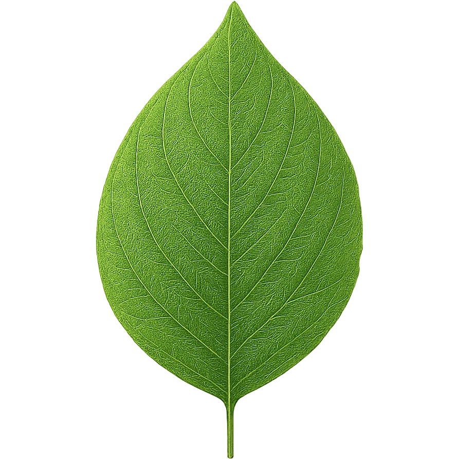 nature leaf emoji