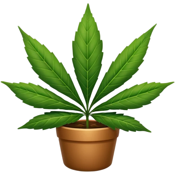 pot leaf emoji