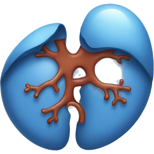 Kidney emoji